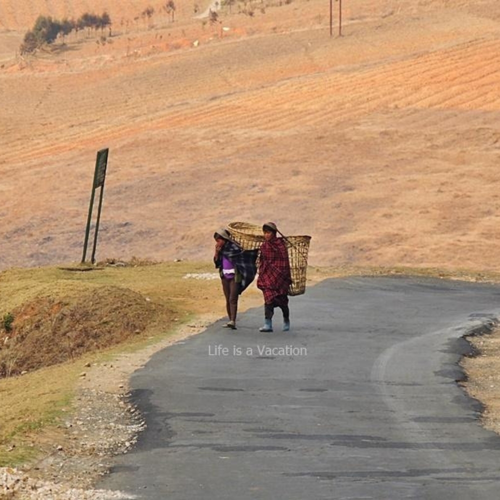 Smit Village